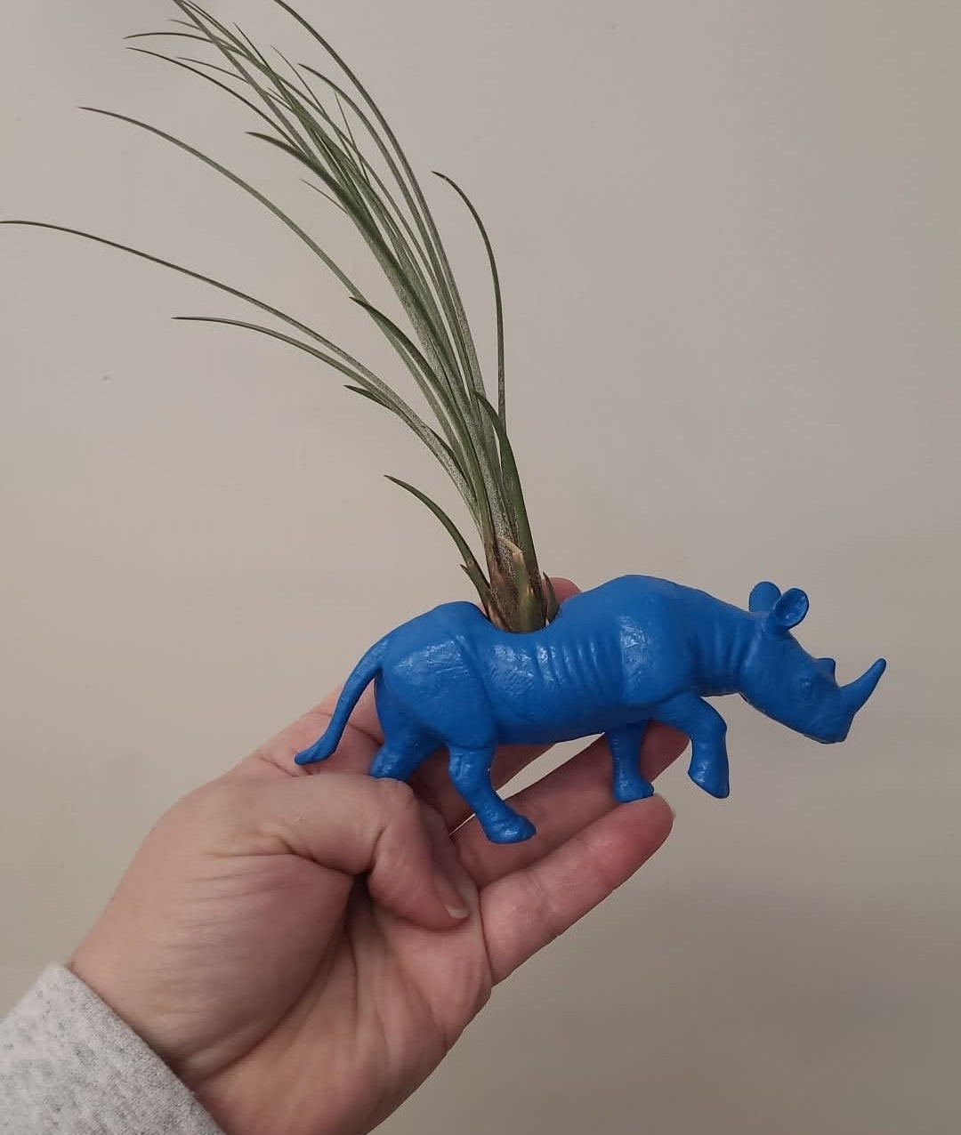 Jardinière rhinocéros