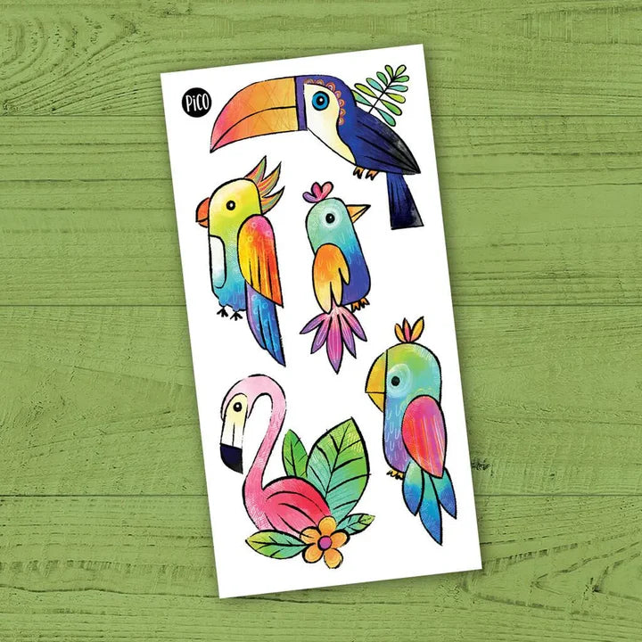 Miguel le toucan