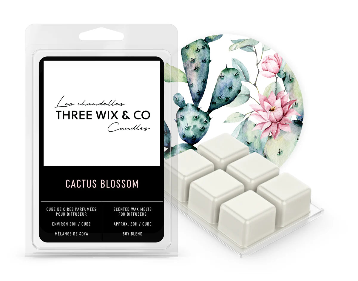 CUBES FLEUR DE CACTUS