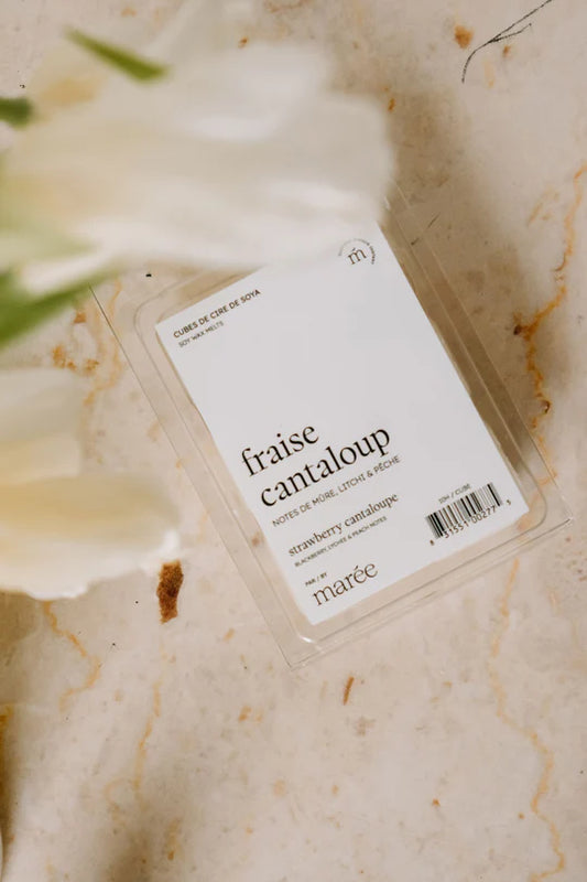 CUBES DE CIRE DE SOYA POUR DIFFUSEUR - Fraise cantaloup