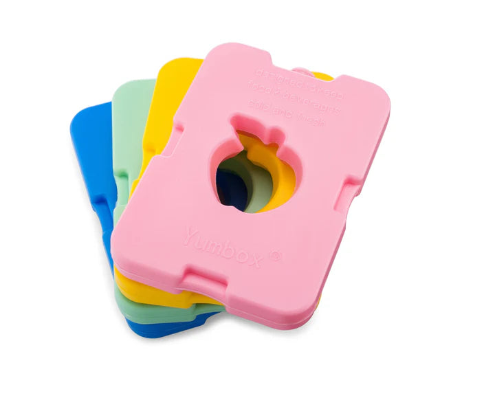 Packs de glace Yumbox - lot de 4