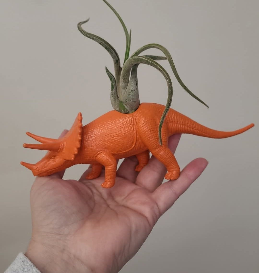 Jardinière tricératop