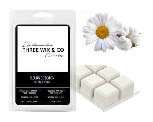 CUBES FLEUR DE COTON