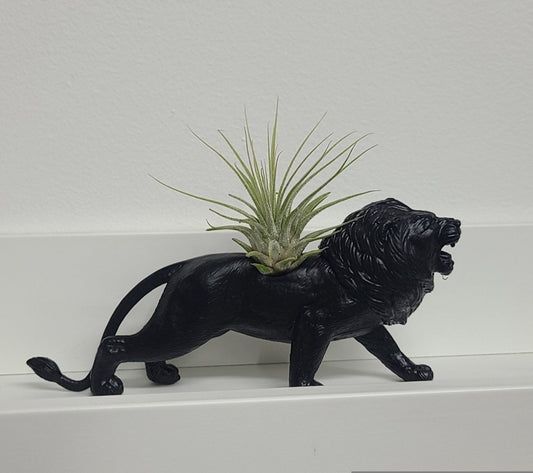 Jardinière lion